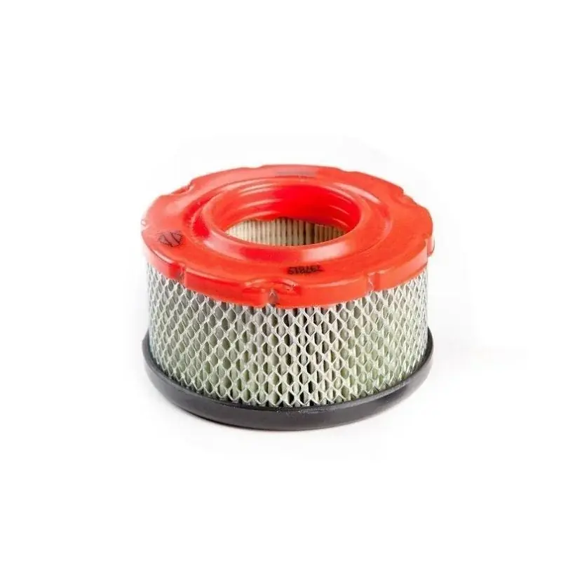 Filtre à air BRIGGS ET STRATTOn 5425 – 797819 Dernier Modèle