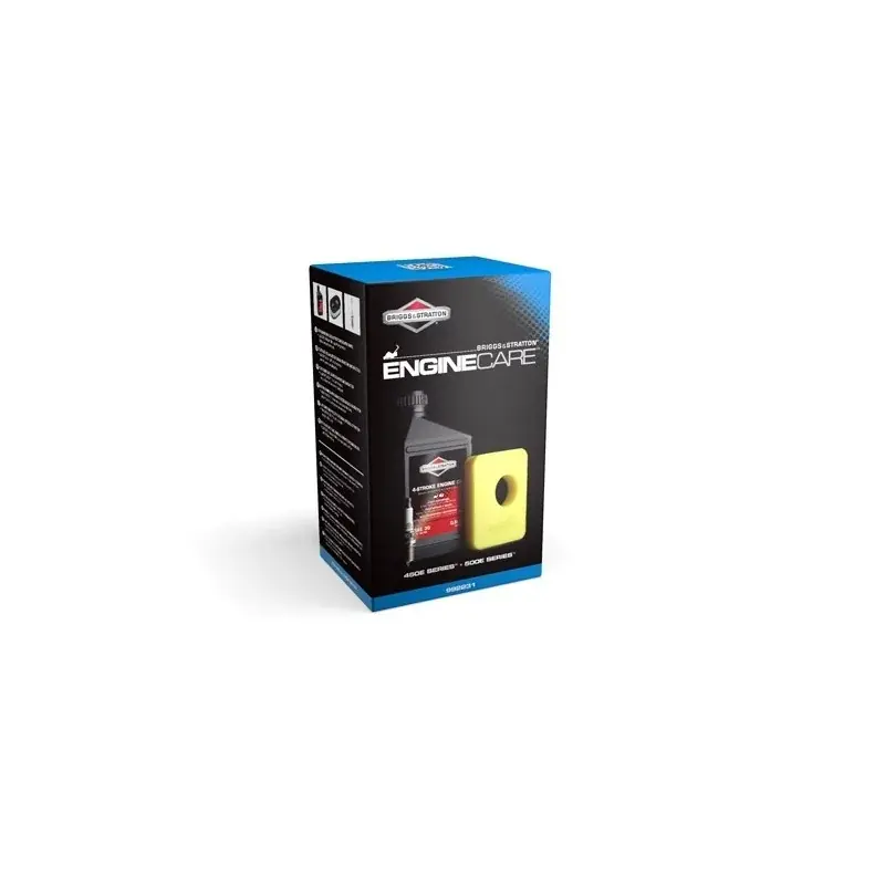 Top Vente Kit d‘entretien BRIGGS ET STRATTON 992231 pour moteur série 450E, 500E