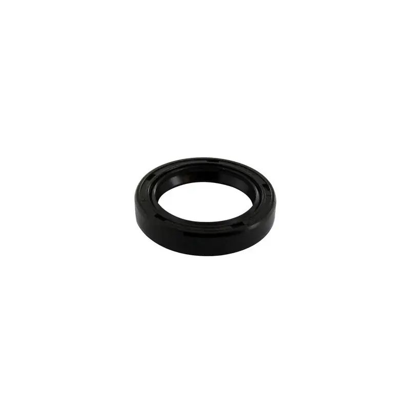 Vente Directe Joint spi BRIGGS ET STRATTON 805101S pour moteurs Vanguard Twin
