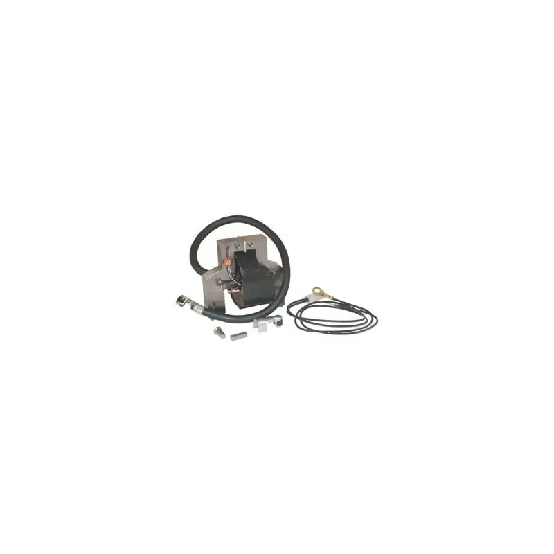 Remise 591420 – Bobine d‘Allumage pour Moteur Briggs et Stratton (ex 792395 et 496914)