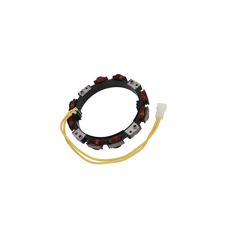 Prix Cassé 592830 – Alternateur pour Moteur BRIGGS ET STRATTON