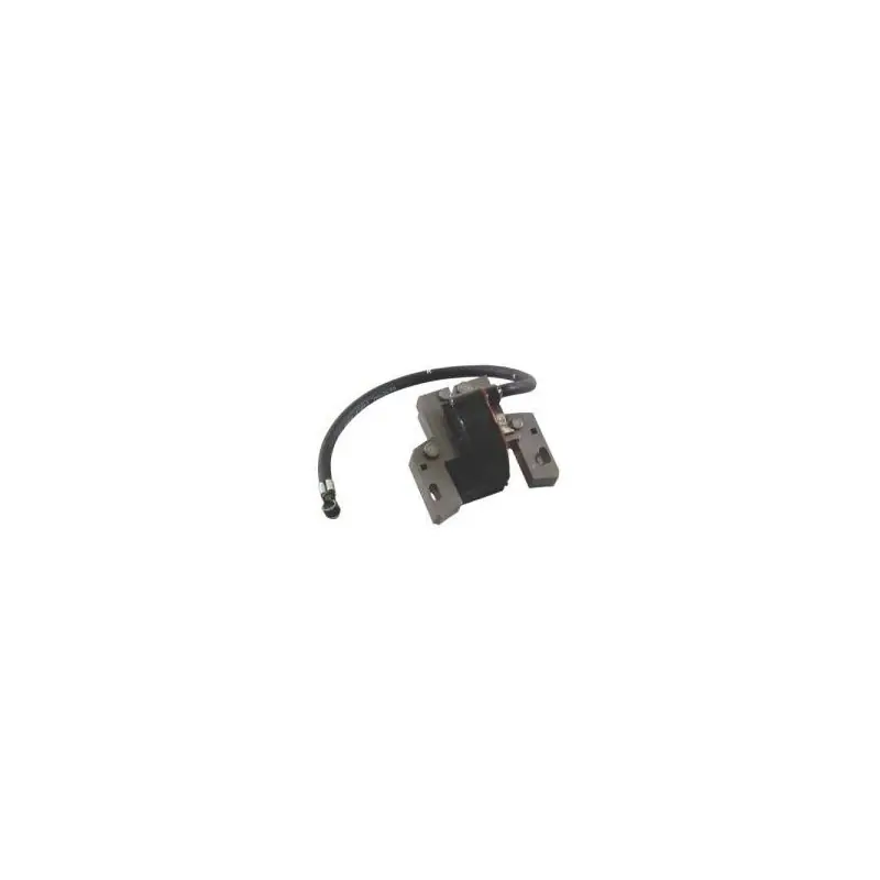 Must-Have 592846 – Bobine d‘allumage pour moteur Bicylindre BRIGGS et STRATTON