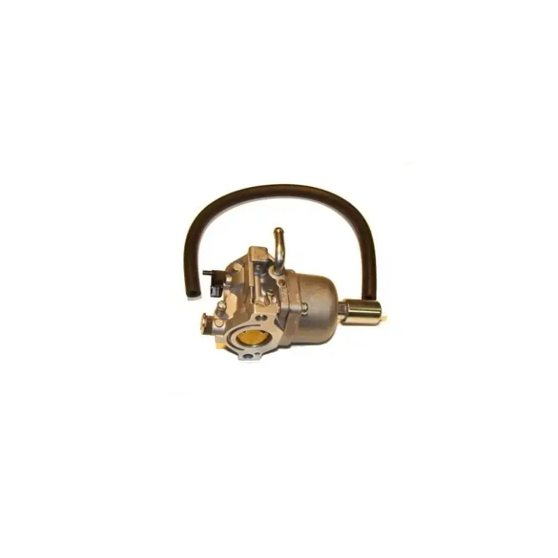 Seulement Aujourd&rsquo;hui 593433 – Carburateur Complet pour Moteur BRIGGS et STRATTON