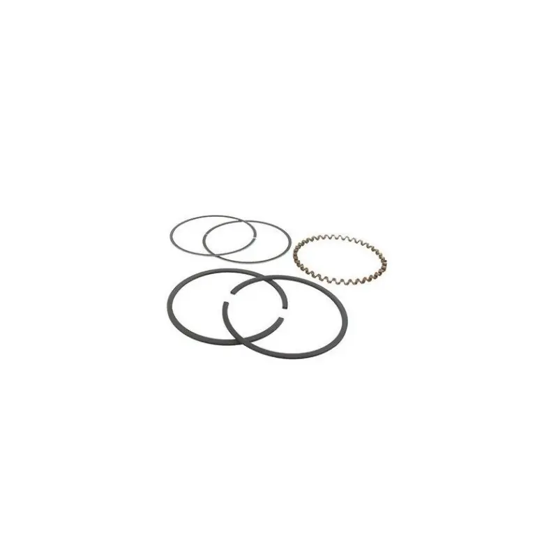 Vente Flash 594437 – Jeu de Segments pour Moteur BRIGGS et STRATTON