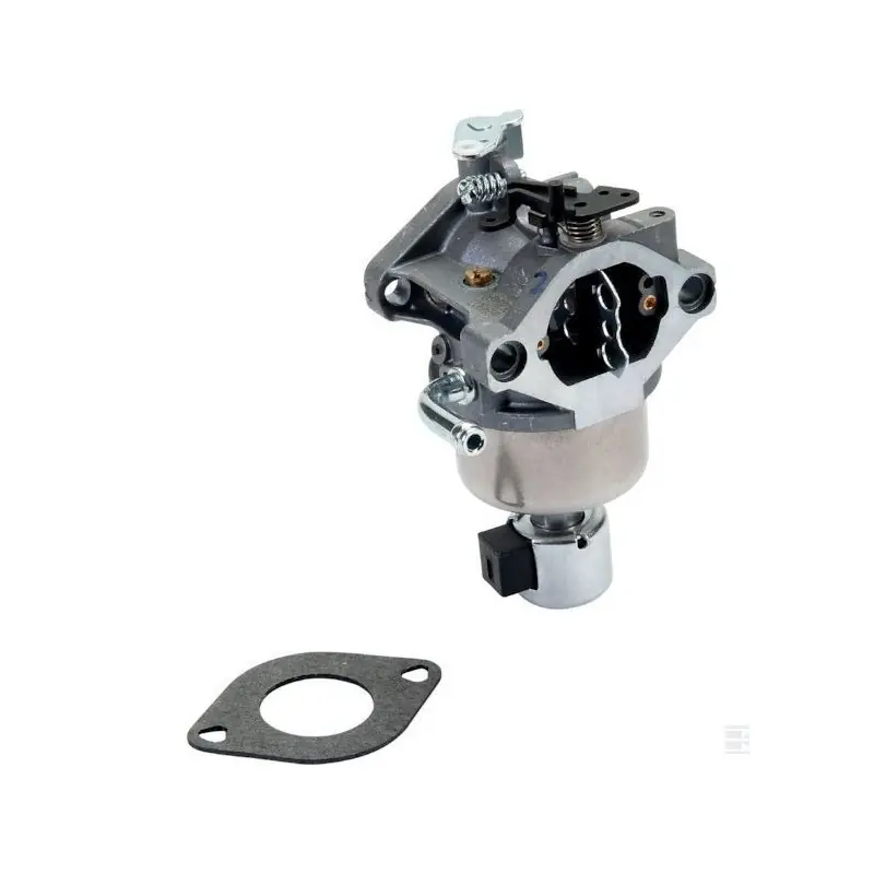 Bon Marché 594593 – Carburateur complet pour moteur BRIGGS et STRATTON