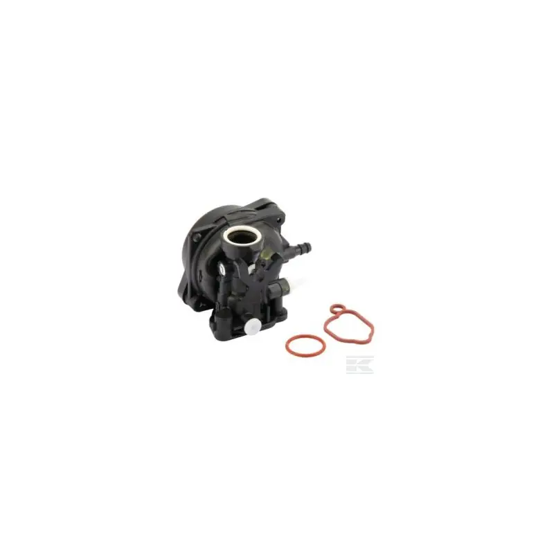 595656 – Carburateur pour moteur BRIGGS et STRATTON Commander Maintenant