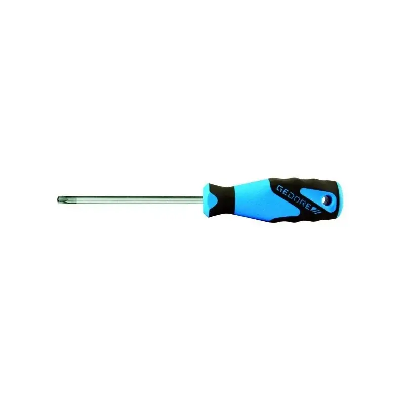 Tournevis GEDORE empreinte TORX femelles 10 x 80 mm Satisfait Ou Remboursé