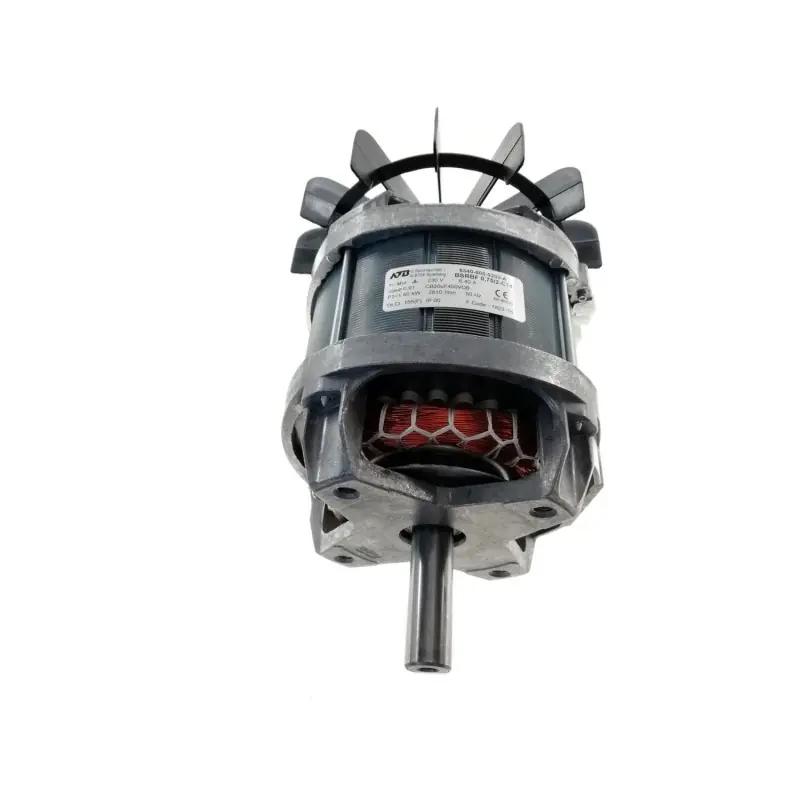 6340-600-0204 – Moteur électrique 230 V/50 Hz pour Tondeuse Viking Offre Limitée