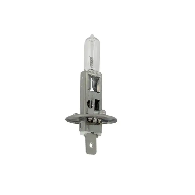 Bon Marché Ampoule halogène H1 UNIVERSELLE 12V – 55W
