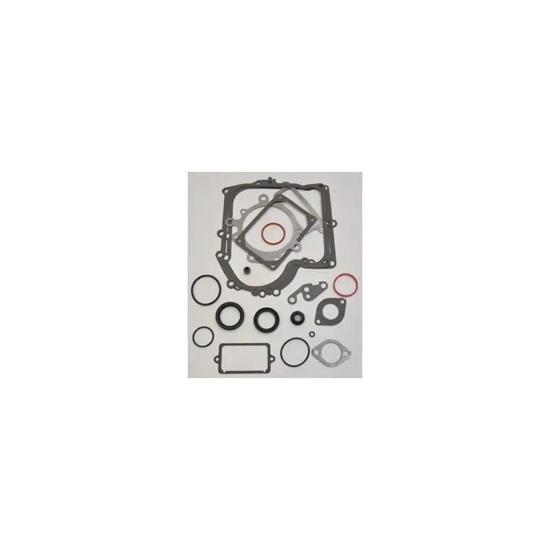 Marque 690189 – Pochette de joints moteur pour moteur Briggs et Stratton