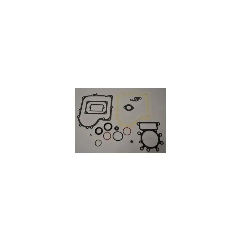691580 – Pochette de joints pour moteur BRIGGS et STRATTON Prix Bas