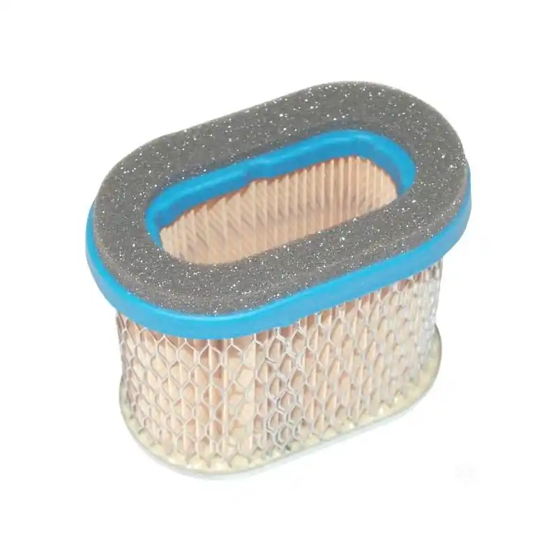 692446 – Filtre à Air pour moteur BRIGGS et STRATTON Bon Marché