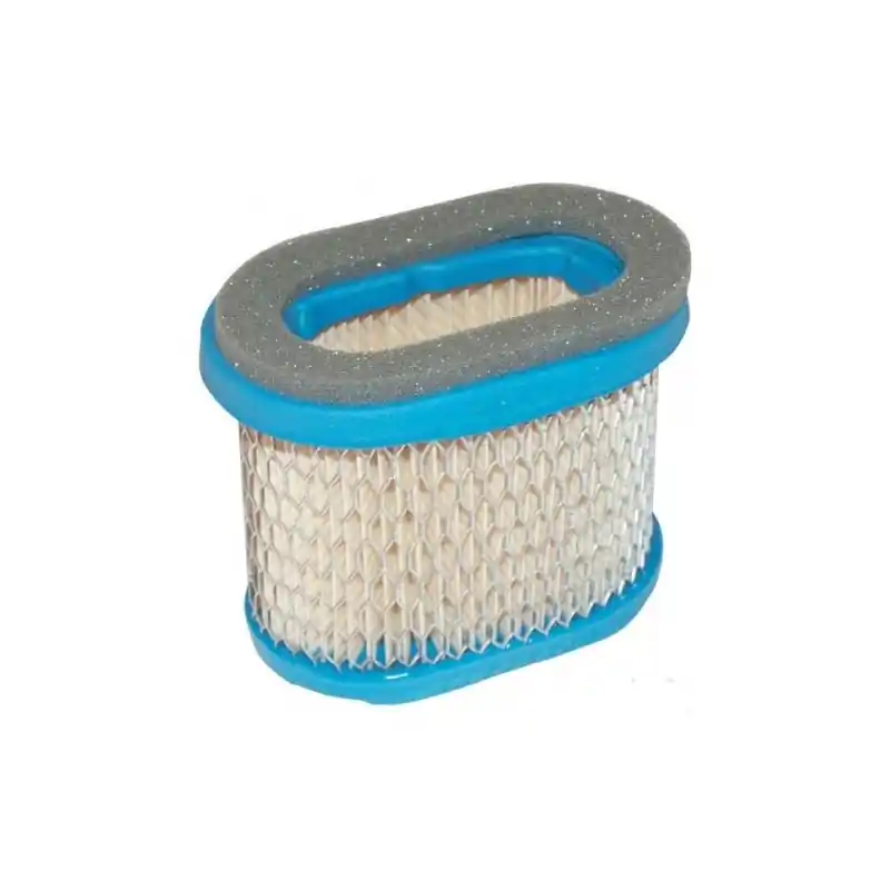 697029 – Filtre à air pour moteur BRIGGS ET STRATTON Prix Bas