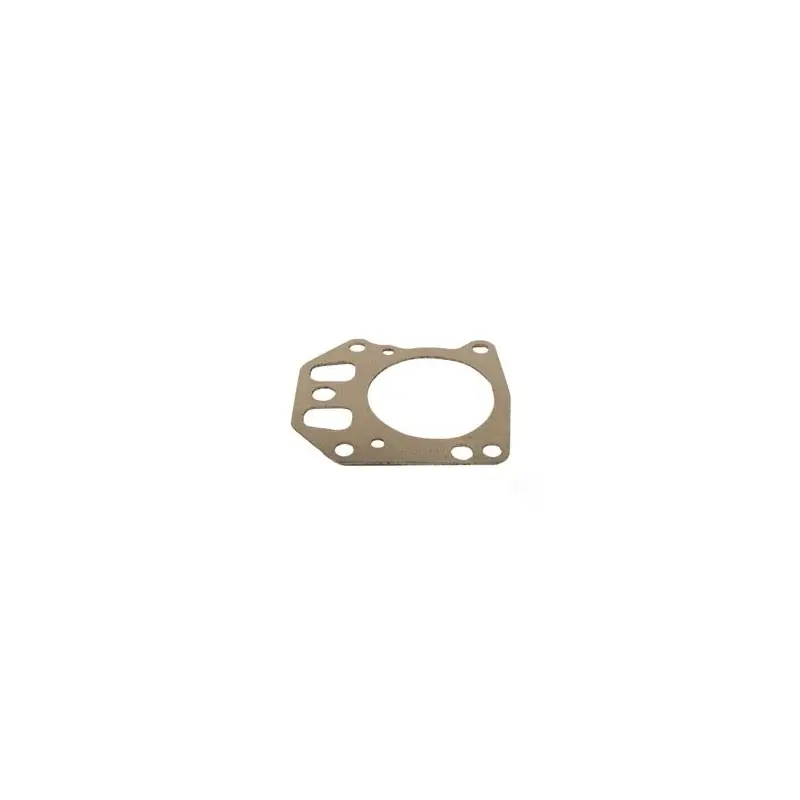697230 – Joint de culasse pour moteur BRIGGS et STRATTON Offre Du Jour