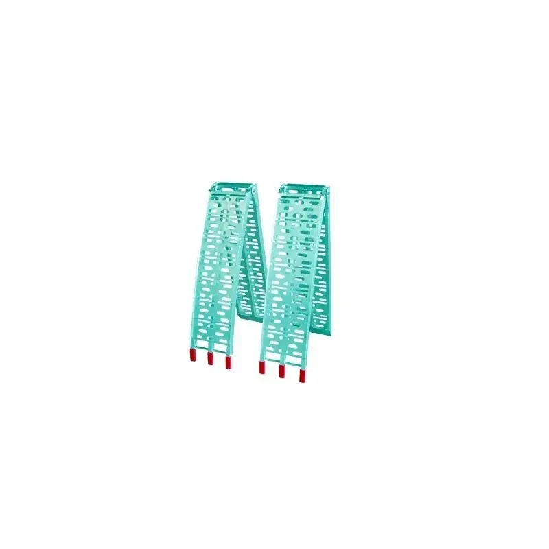 Seulement Aujourd&rsquo;hui Jeu de 2 rampes pliable UNIVERSELLE – Longueur 225 cm