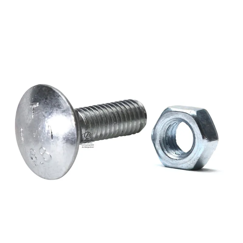 Boulons à tête bombée et collet carré. Pour Etesia 26157 pas à droite Réduction