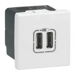 Must-Have Chargeur USB MOSAIC 2 modules 230 V blanc – LEGRAND – 077594