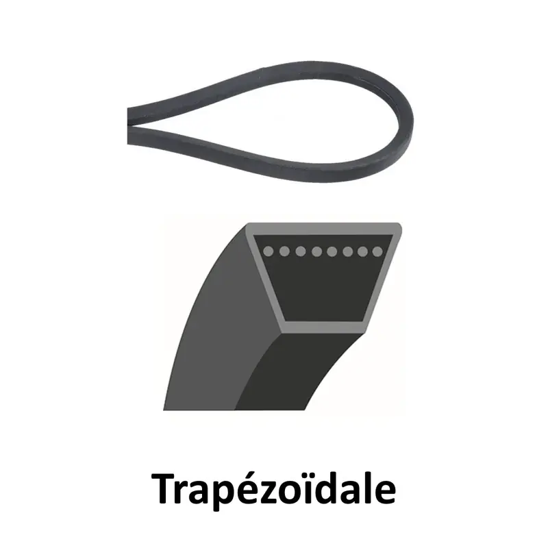 Super Prix 754-0338 – Courroie D‘avancement pour Tondeuse Autoportée MTD
