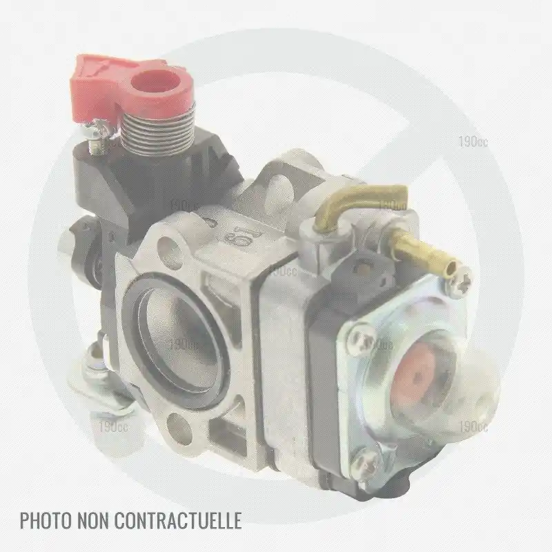 Carburateur pour coupe bordure Alko BC 250 Offre Exclusive