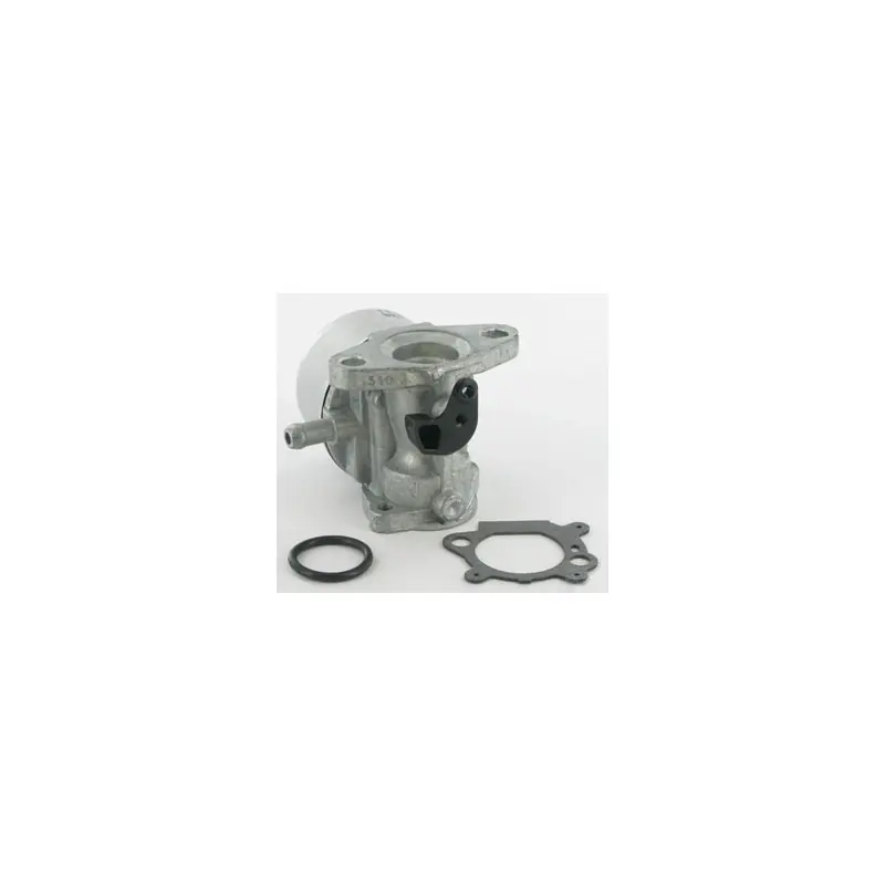 Meilleur Prix 790978 – Carburateur complet pour moteur Briggs et Stratton