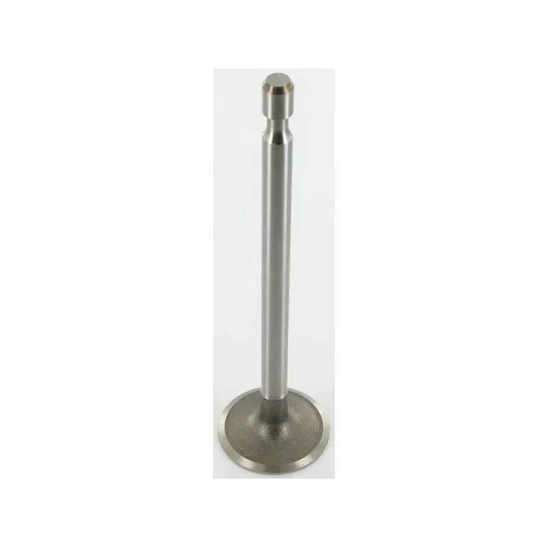 791935 – Soupape d‘Admission pour moteur BRIGGS et STRATTON Top Vente