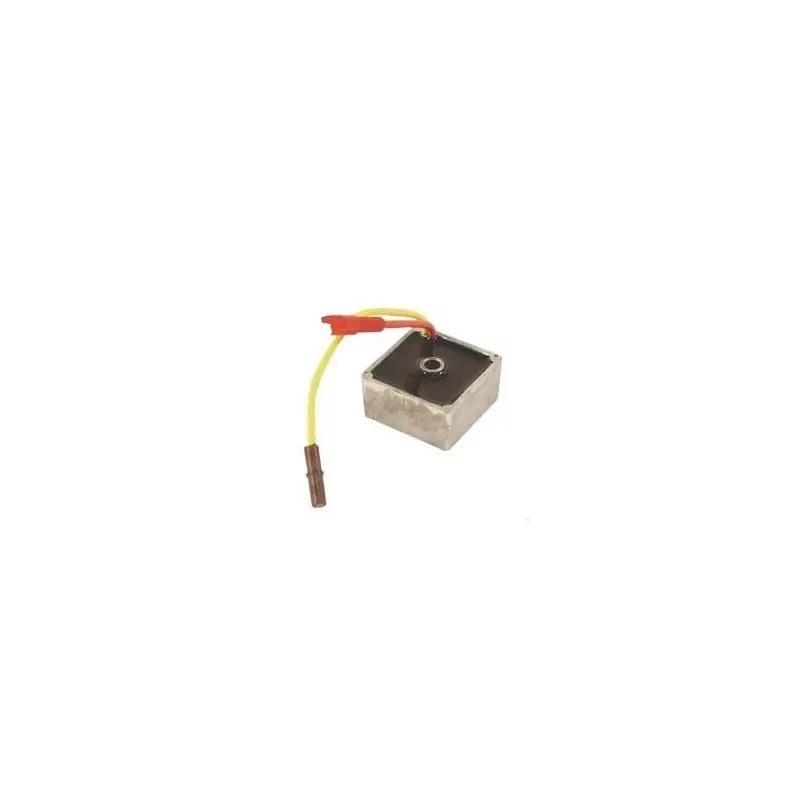 Livraison Express 794360 – Régulateur de tension pour moteur BRIGGS et STRATTON