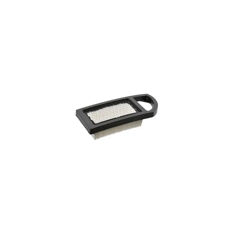 Authentique 794421 – Filtre à Air pour moteur BRIGGS et STRATTON