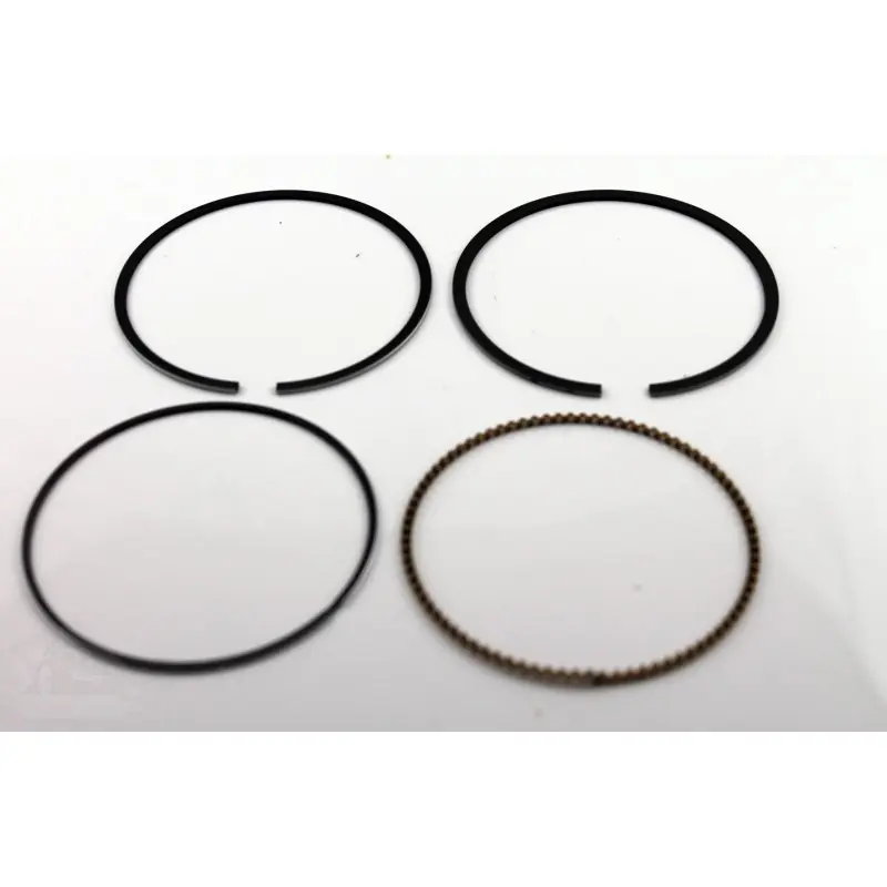 795431 – Jeu de Segments pour moteur BRIGGS et STRATTON Achetez Aujourd&rsquo;hui