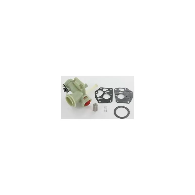 Achetez Aujourd&rsquo;hui 795477 – Carburateur Complet pour Moteur Briggs et Stratton