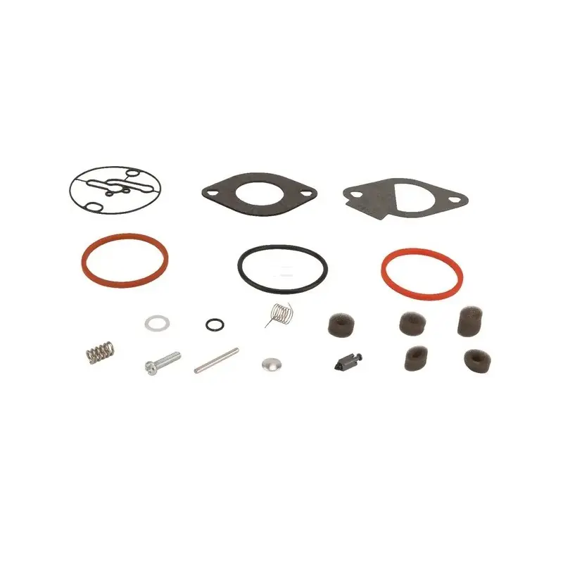 796184 – Kit Réparation Carburateur pour Moteur Briggs & Stratton Nouvelle Collection
