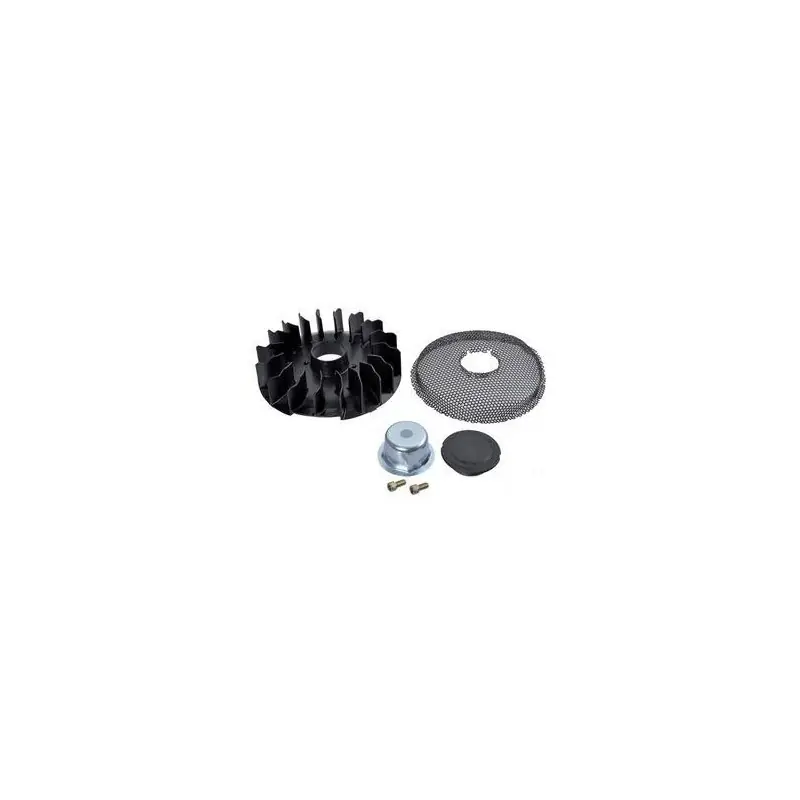 Meilleure Vente 796200 – Ventilateur de volant pour moteur BRIGGS et STRATTON