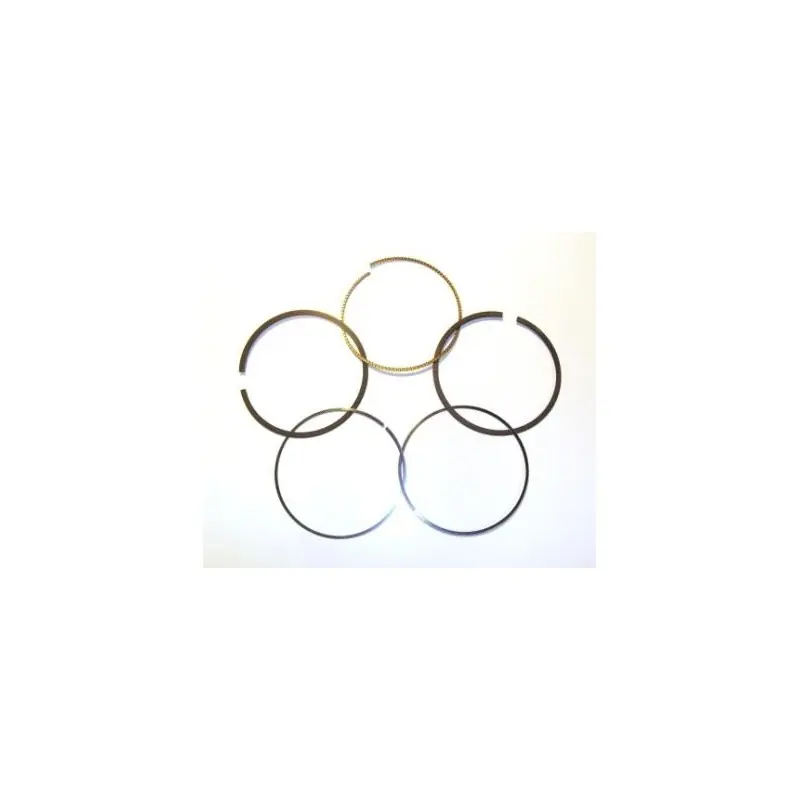 797011 – Jeu de Segments pour moteur BRIGGS et STRATTON Marque