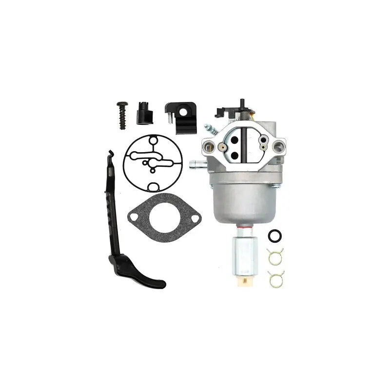 Offre Exclusive 799727 – Carburateur ADAPTABLE pour moteur BRIGGS et STRATTON