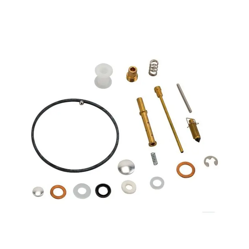 Nouvelle Collection 807962 – Kit Réparation Carburateur pour moteur BRIGGS et STRATTON