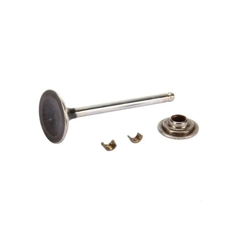 Meilleure Vente 84012919 – Soupape Echappement pour moteur BRIGGS et STRATTON