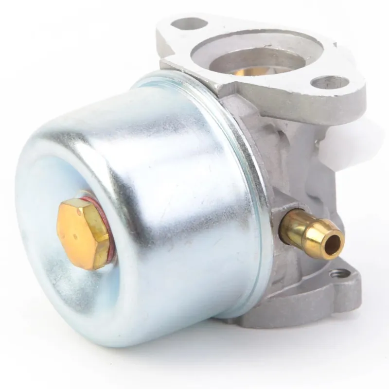 Carburateur pour moteur Briggs & Stratton 790120 Offre Exclusive