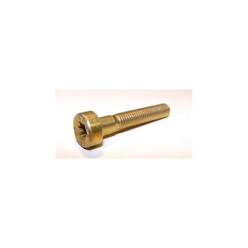 90223411070 – Vis Cylindrique IS M5x30 pour STIHL Prix Bas