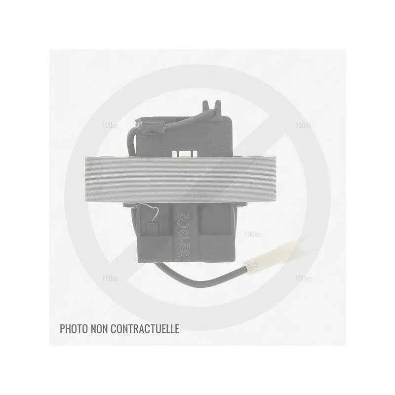 Offre Exclusive Alternateur pour moteur GGP WBE0701 ES et WBE0704 ES