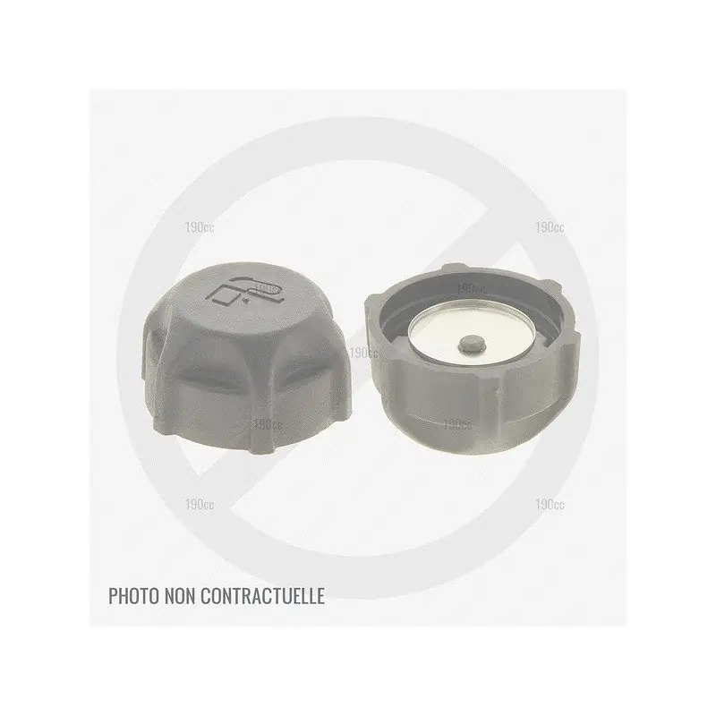 Bouchon reservoir essence moteur GGP RSC100 et RSCT100 Certifié