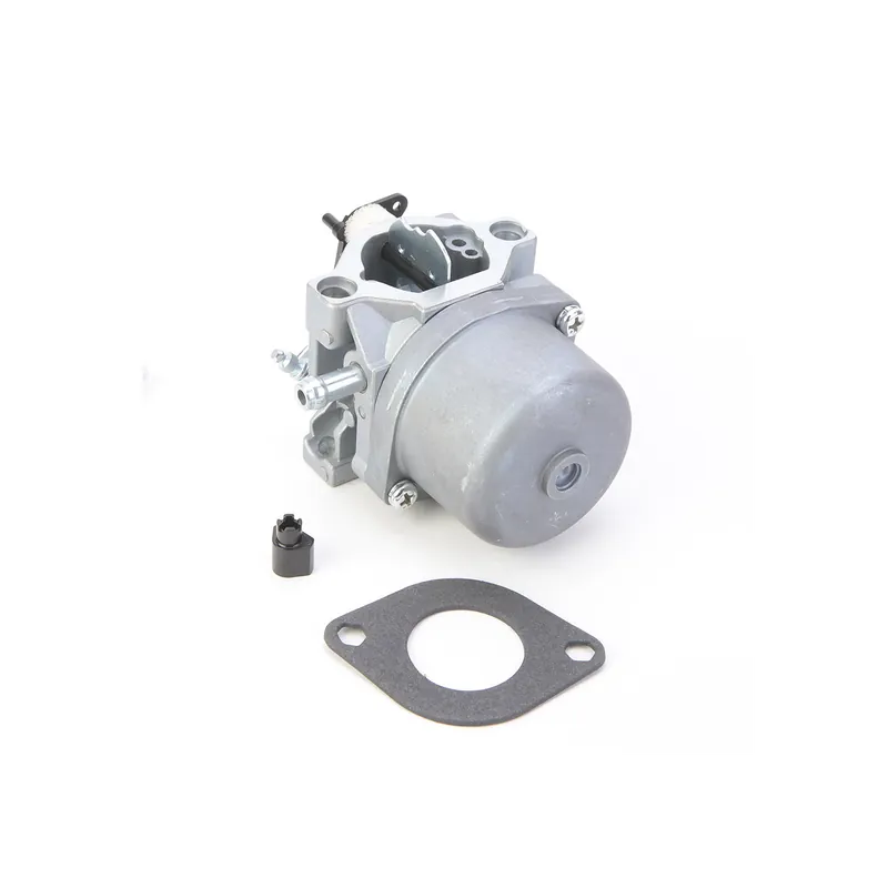 Carburateur pour moteur Briggs & Stratton 799728 Offre Exclusive