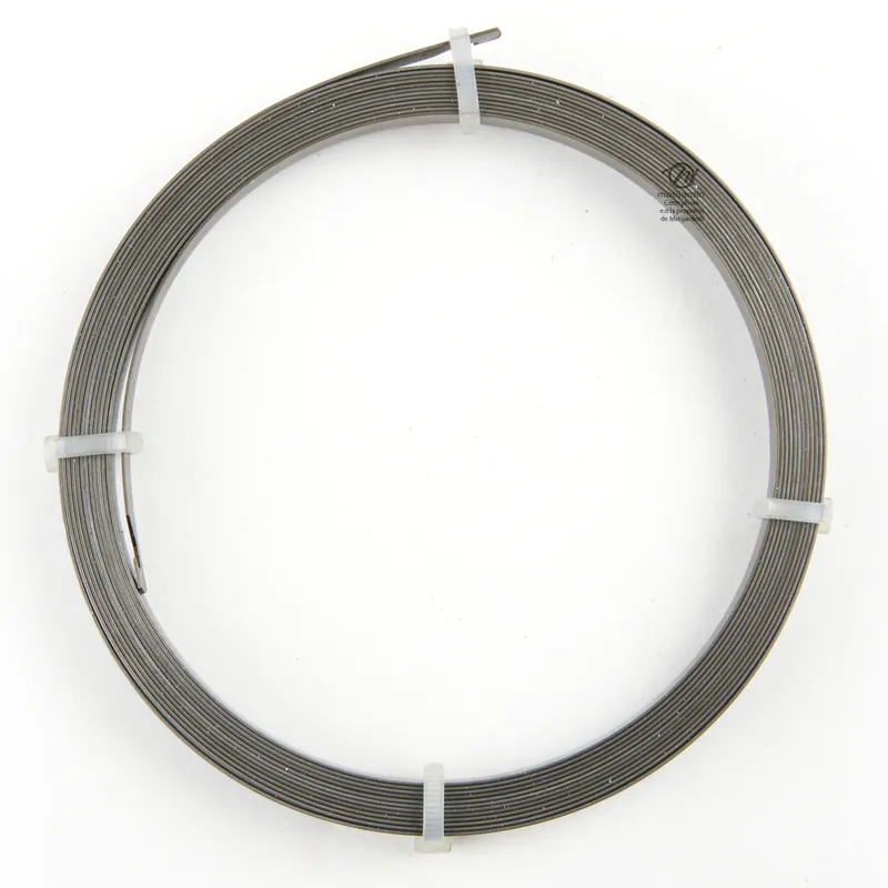 Ressort de lanceur pour moteur Briggs & Stratton. Simple crochet Meilleur Prix