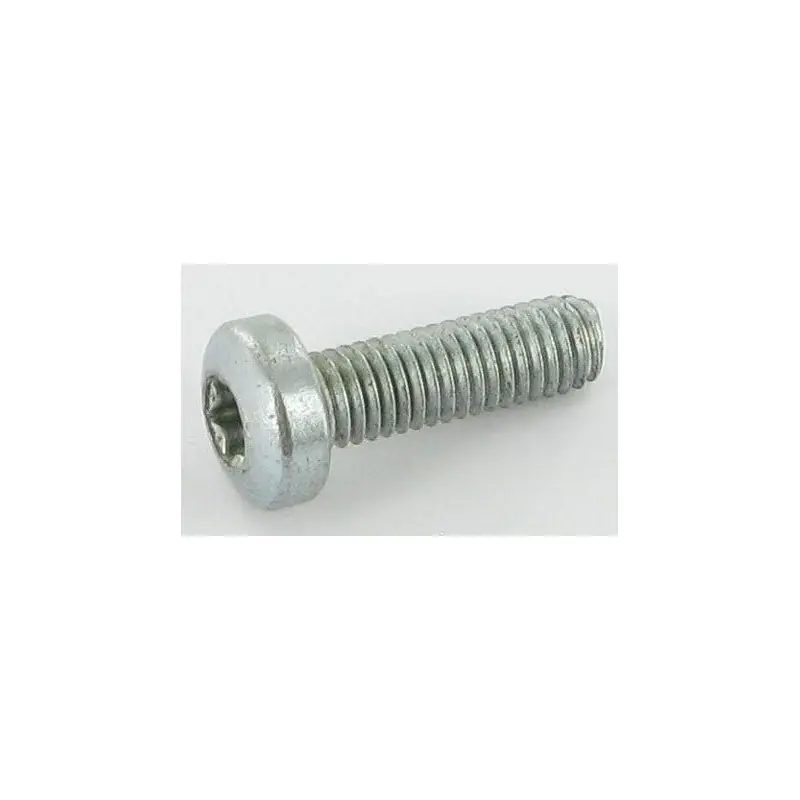 Prix Promo 9943-0516-16 – Vis pour Tracteur & Tondeuse Castelgarden / GGP / STIGA