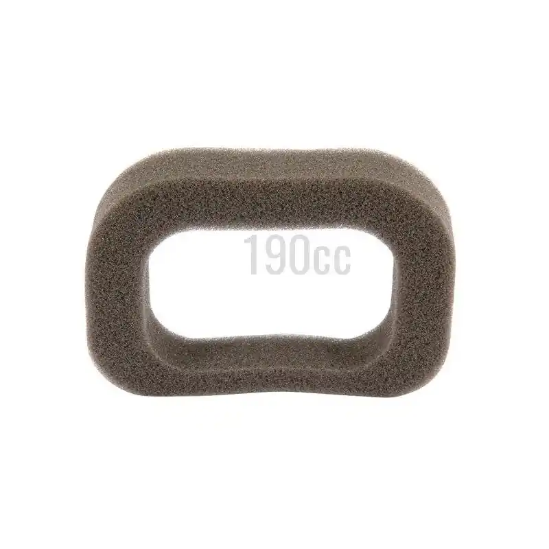 Jusqu&rsquo;à Épuisement Des Stocks Filtre à air pour moteur GGP RS 100