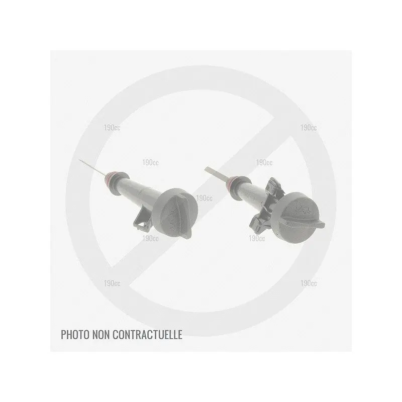 Réduction Jauge à huile pour moteur de tondeuse à gazon Greatland DG1P65F
