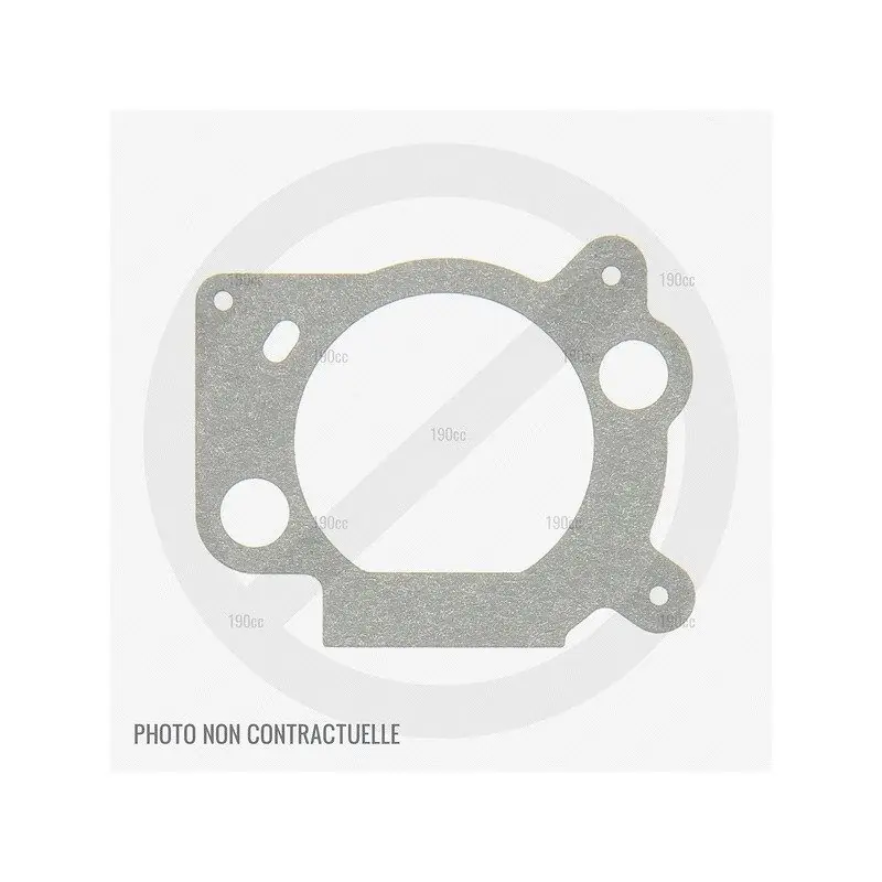 Meilleur Choix Joint de filtre à air pour moteur Greatland TZ1P56F