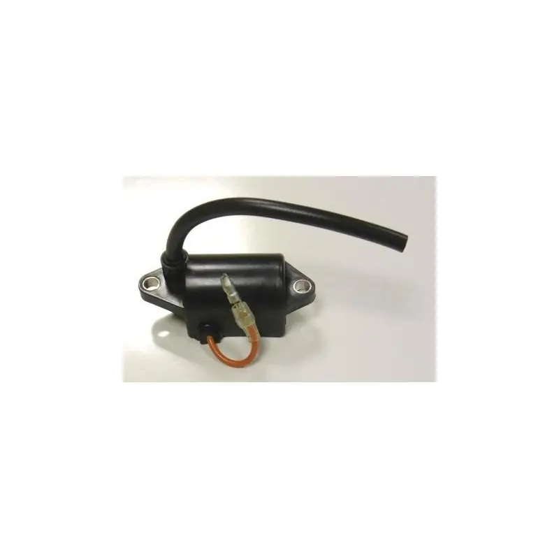 A411001020 – Module d‘Allumage pour Tronçonneuse Shindaiwa Achat Immédiat