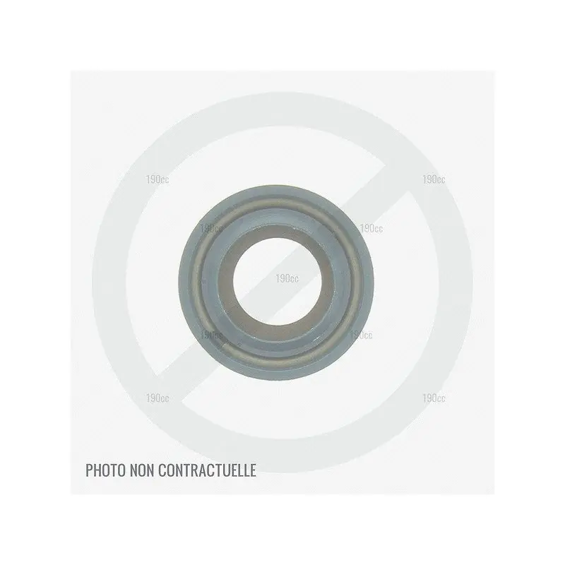 Joint spi pour moteur Greatland DJ1P56F, TZ1P56F, DG1P65F, TZ1P65F Meilleur Choix