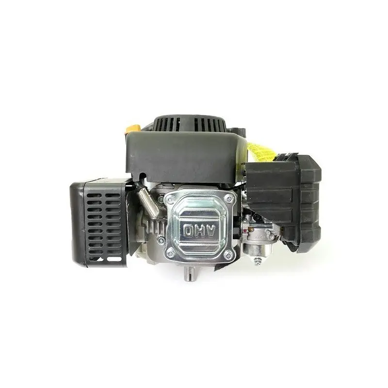 Moteur WBE0704-RO marque GGP pour remplacement Soldes