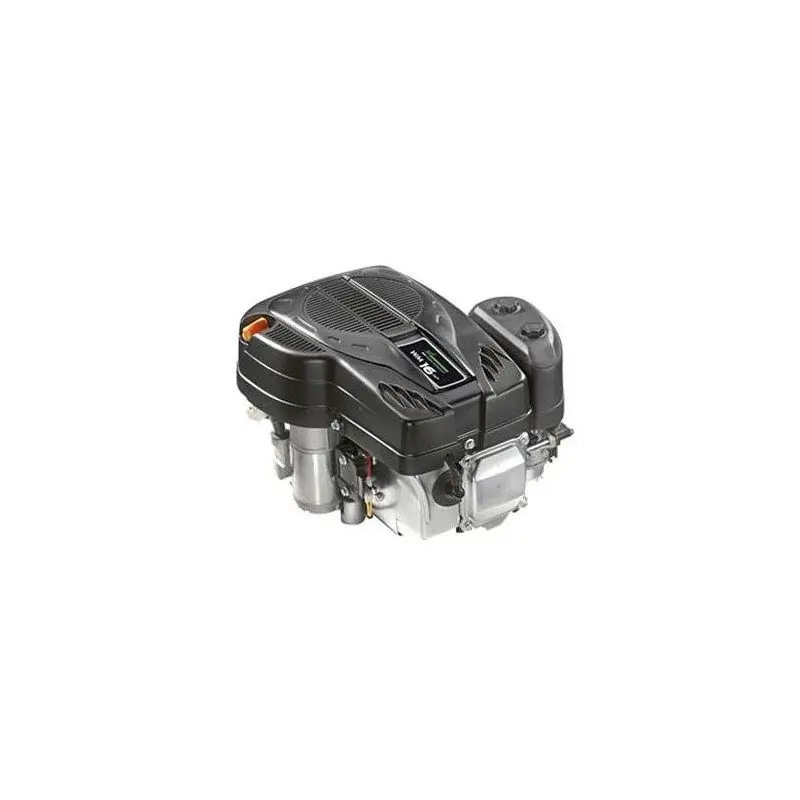 Moteur pour tracteur de pelouse GGP TRE0801 Jusqu&rsquo;à Épuisement Des Stocks