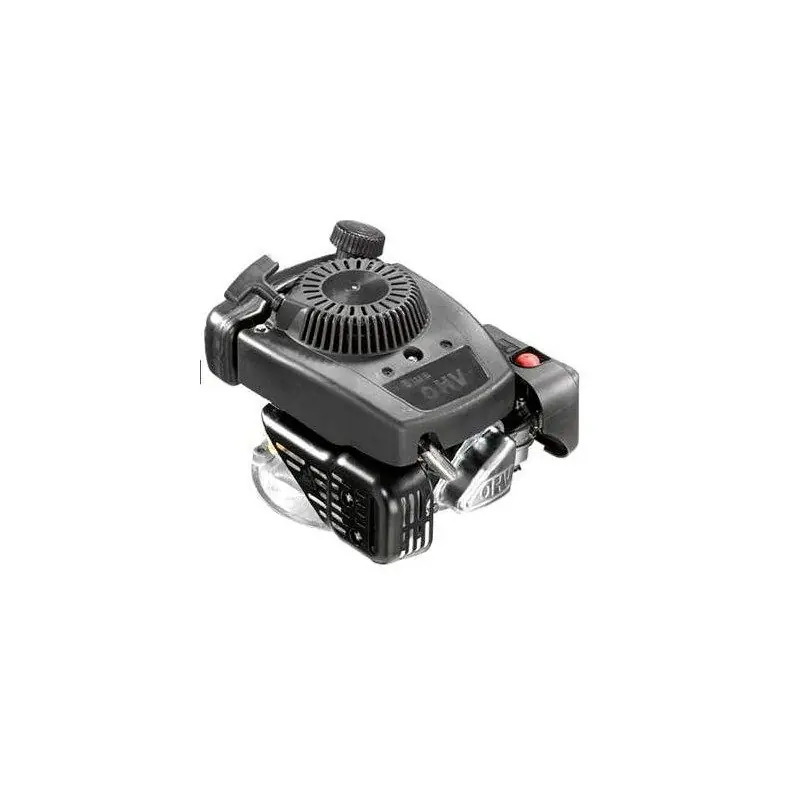 Moteur GGP RS100 (moteur complet neuf) Haute Qualité